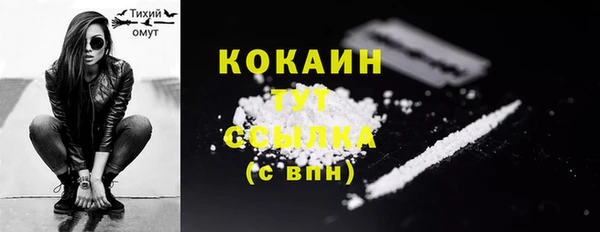 винт Инта