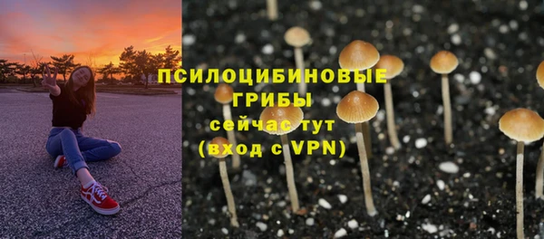 спайс Абдулино