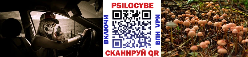 Галлюциногенные грибы мухоморы  цена   Курск 